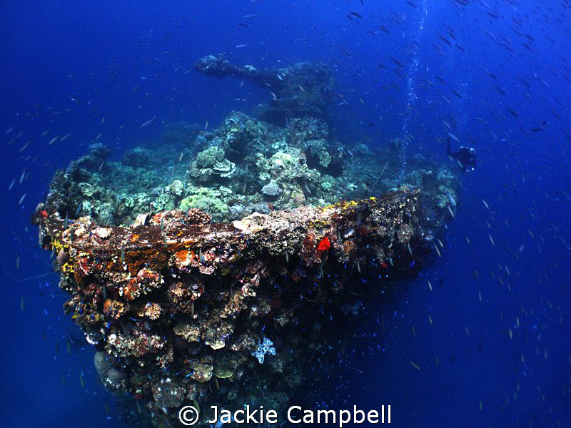 Bow of the Fujikawa Maru.
This was my favourite wreck in... by Jackie Campbell 