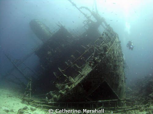 Giannis D wreck by Catherine Marshall 