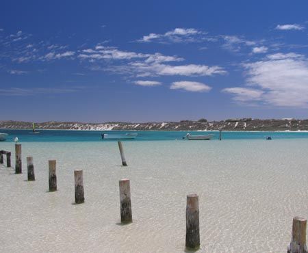 Coral Bay, Western Australia by Penny Murphy 