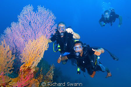 The boys go diving at Fan corner, Downbelow Dive Centre, ... by Richard Swann 