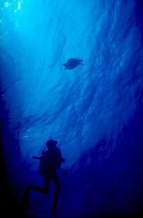 Returning to the surface after a dive at Cozumel - May 2003 by Jesper Granes 