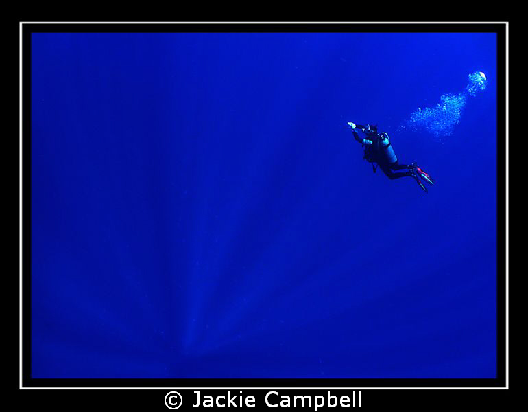 TO INFINITY AND BEYOND...... 
My Buzz lightyear dive bud... by Jackie Campbell 