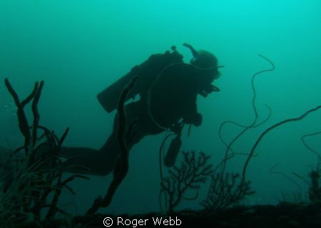 Deep dive on "Bianca C"  Grenada, WI by Roger Webb 