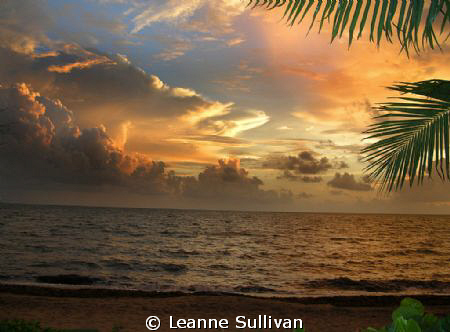 Beautiful day to dive... These wonderful sunrises greeted... by Leanne Sullivan 