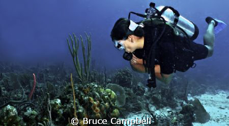 Lu was viewing all of the corals and sponges as I took th... by Bruce Campbell 