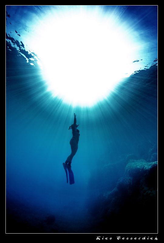 The Freediver
CANON 40D, Ike Housing, Sigma 10-20mm lens... by Rico Besserdich 