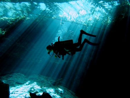 "Cenotes"in Playa del carmen.Diving in the clearest water... by Gerald Obritzberger 