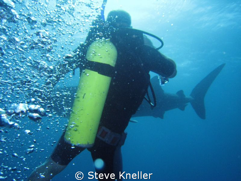 Very candid photo shot at the moment the diver was reacti... by Steve Kneller 