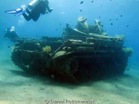 M42 Duster wreck . Easy dive with the children at around ... by Daniel Petitmermet 