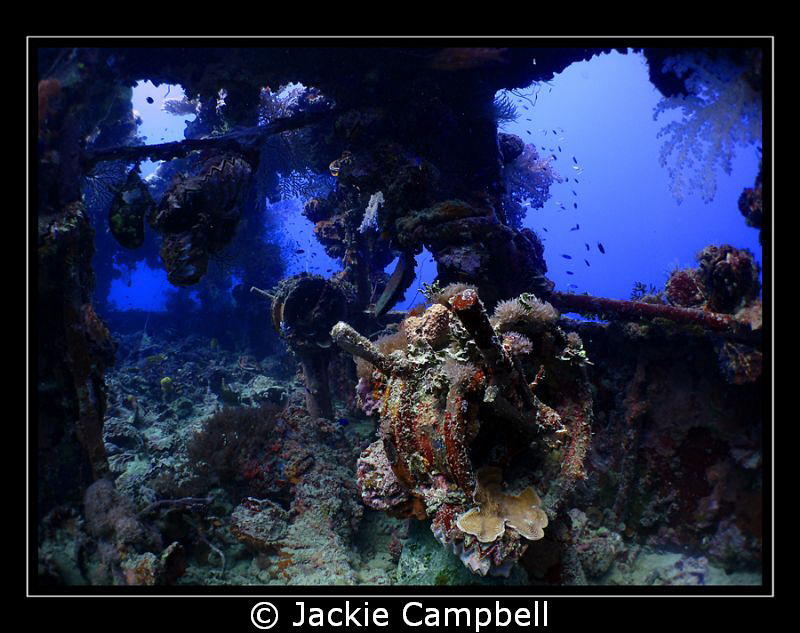 Bridge of the Shinkoku Maru in Truk Lagoon:)
Possibly on... by Jackie Campbell 