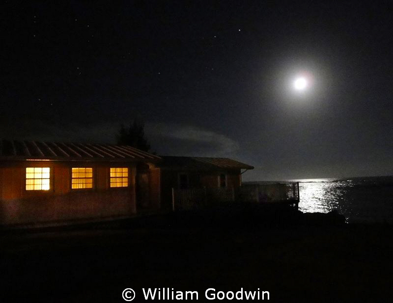 Full moon at Brac Reef - high ISO shot. by William Goodwin 