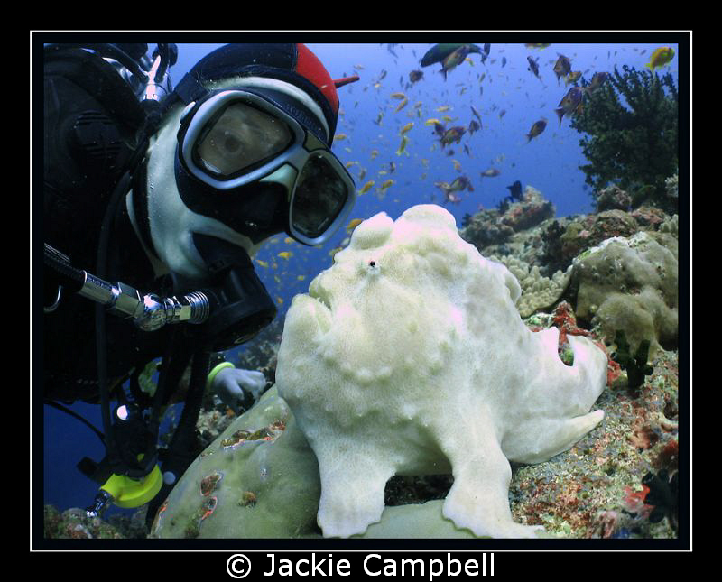 14 years diving.....and this was my first frog fish !!
I... by Jackie Campbell 