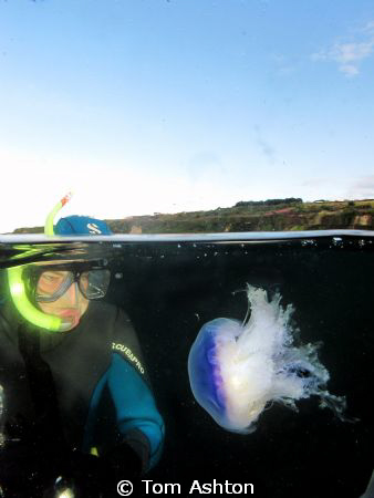 My friend Tommy inspecting a Blue jellyfish. St Andrews. ... by Tom Ashton 