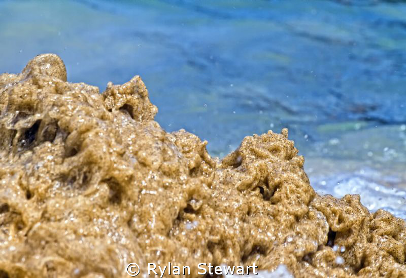 Sand Monster by Rylan Stewart 