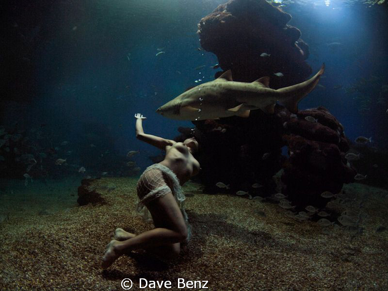No fear...beautiful girl !!! by Dave Benz 