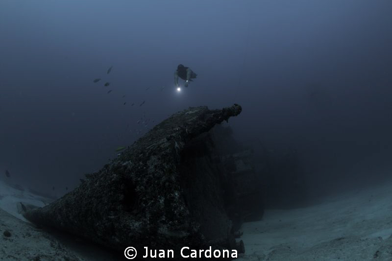 Wreck dive & free Dive by Juan Cardona 