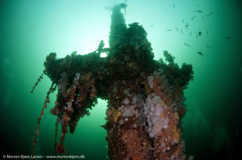 The mast on Frankenwald (voted as the best wreck in Norwa... by Morten Bjorn Larsen 