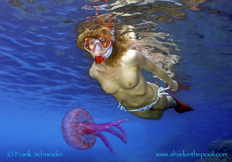Diver with 'Mauve stinger' (Pelagia noctiluca).   -  Than... by Frank Schneider 