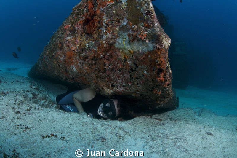 A real diver even when sleeps dreams himself at the botto... by Juan Cardona 