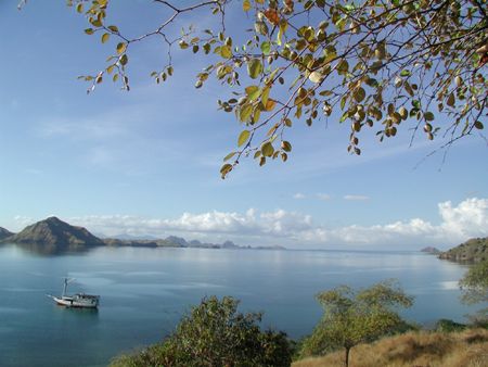 View from atop Komodo Island by Dale Treadway 