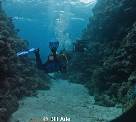 Coral Sea.  Canon G-10, Ikelite housing, strobes and dome. by Bill Arle 