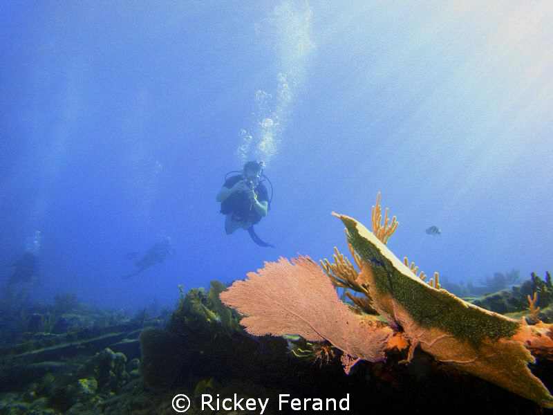 Photographing and videoing dive on the City of Washington... by Rickey Ferand 