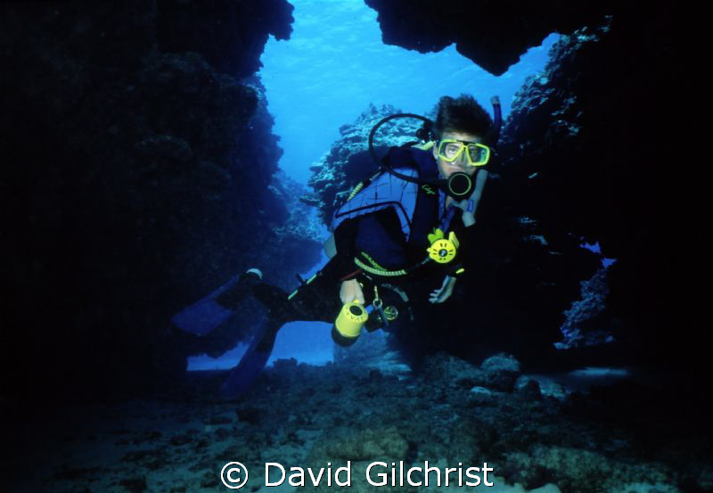 Diver exploring area at Eden's Rock. by David Gilchrist 
