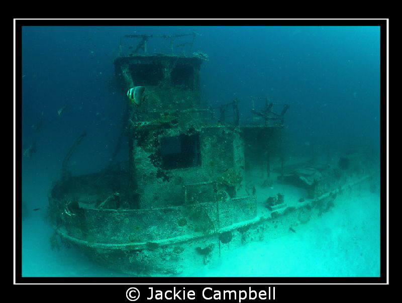 Tug boat wreck in the Maldives.
MWB, Fisheye lens and Ca... by Jackie Campbell 