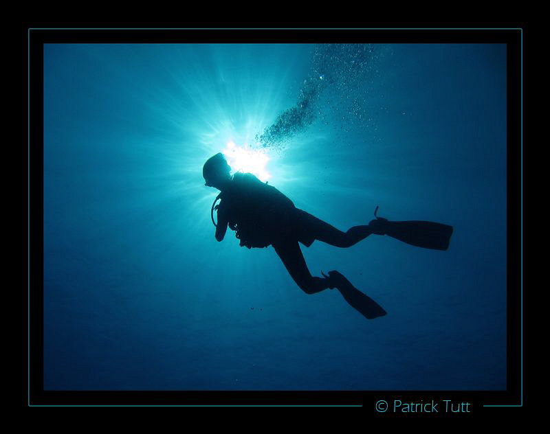 Beginning of the dive is always a pleasure to start divin... by Patrick Tutt 