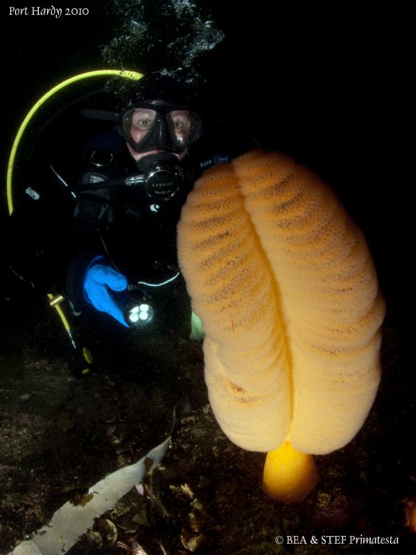 My wife Bea with an Orange Sea Pen. by Bea & Stef Primatesta 