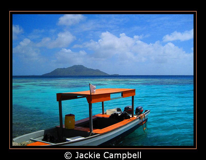 Lunch stop surface interval in Truk Lagoon........beautif... by Jackie Campbell 