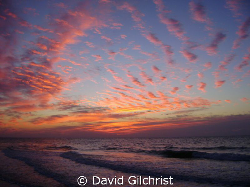 A new day begins!-South Carolina Beach Scene by David Gilchrist 
