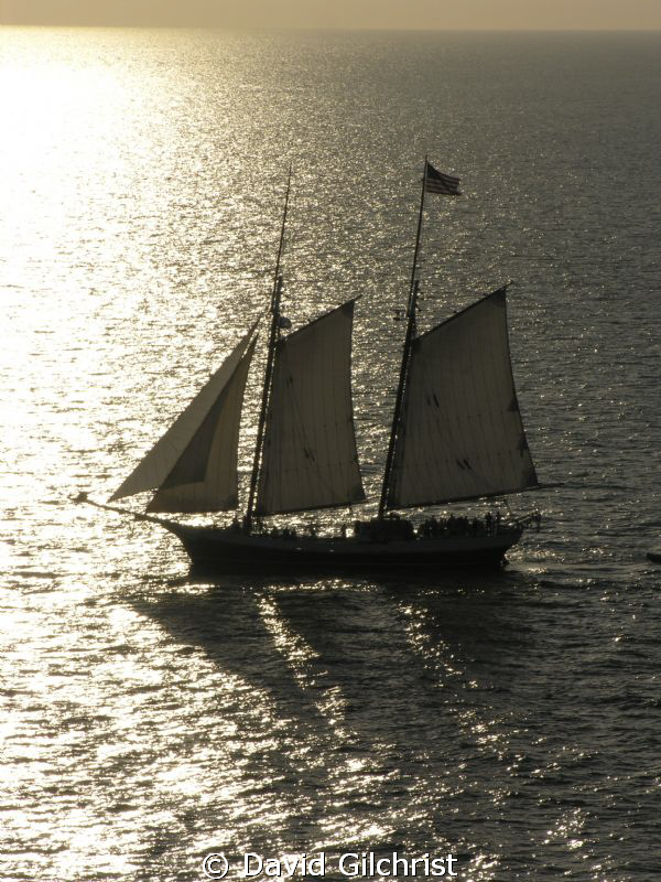 'Pirate' ship, off Grand Cayman Island by David Gilchrist 