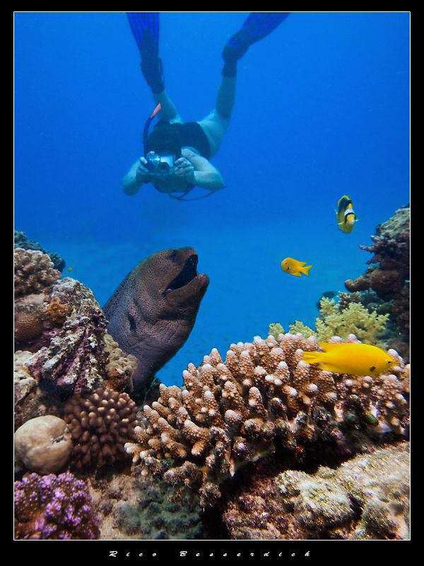 If you think, uw photography with scuba is difficult : tr... by Rico Besserdich 