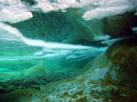 Plongée sous-glace et dans une rivière de montagne - Verz... by Philippe Brunner 