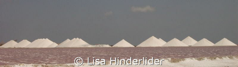 The drying ponds are vivid pink from the brine next to th... by Lisa Hinderlider 
