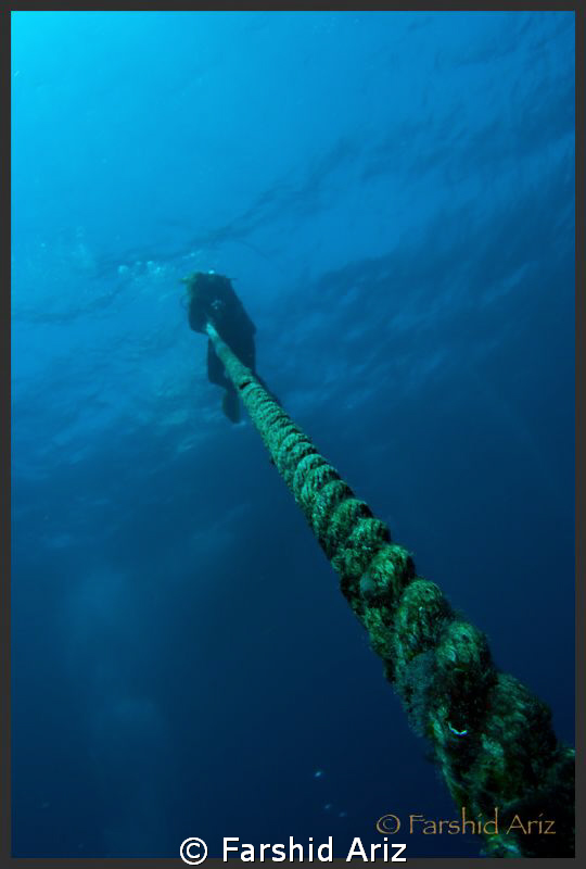 diver on the rope. by Farshid Ariz 