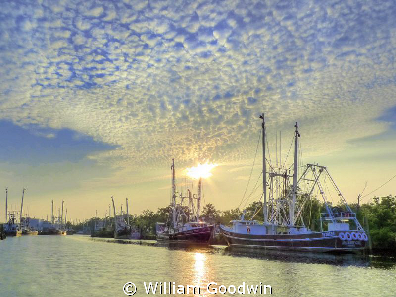 Shrimpers idled by the BP Oil Spill at Bayou la Batre in ... by William Goodwin 