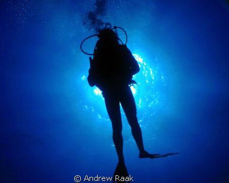 West Palm Beach, FL
Diver Silhouette
 by Andrew Raak 