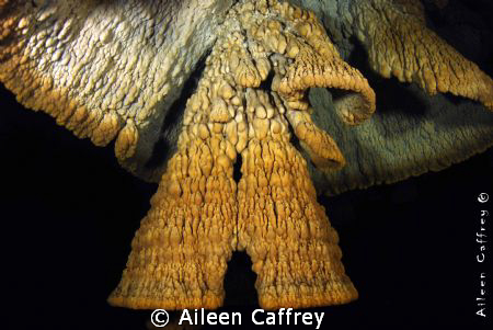 The Perfect A...... Hells Bells ......El Zapote.. Cenote ... by Aileen Caffrey 