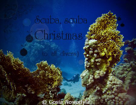 Scuba, Merry Christmas to all divers:)
 by Gosia Nowodyla 
