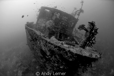 Wreck of a supply ship in Fiji. by Andy Lerner 