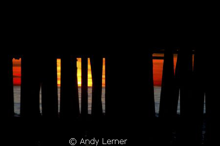 Sunset from underneath the pier by Andy Lerner 