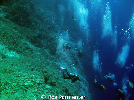 Divers' bubbles at Shaab Sharm by Ros Parmenter 