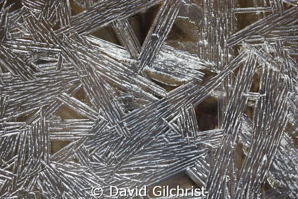 Ice Crystals, Was photographing some divers at the Wellan... by David Gilchrist 