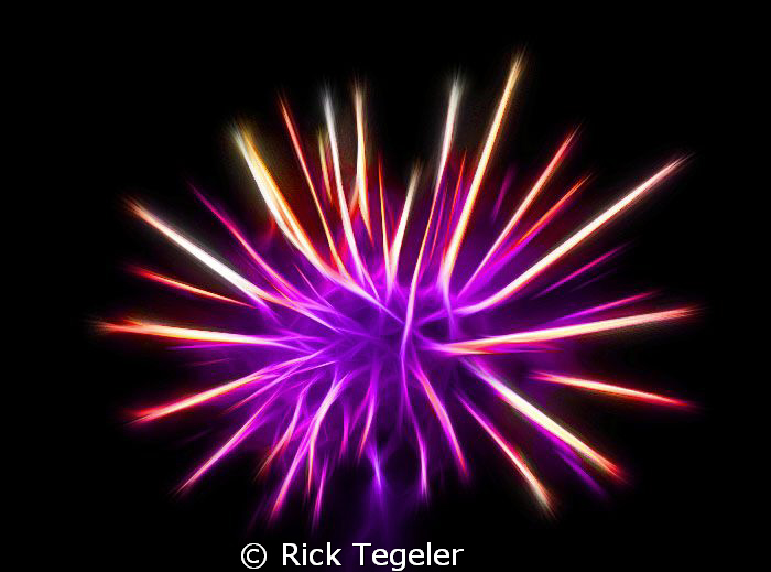 Urchin........enjoy! by Rick Tegeler 