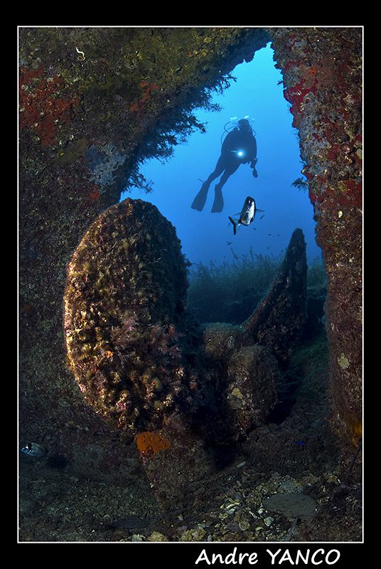 Prop of the Monem Wreck in Cesme.  It turns out that my m... by Andre Yanco 