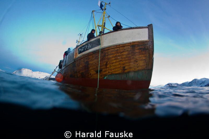 the coldest dive so far this year  :) by Harald Fauske 