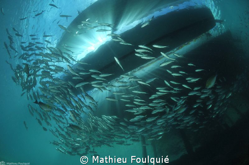 under jetty by Mathieu Foulquié 
