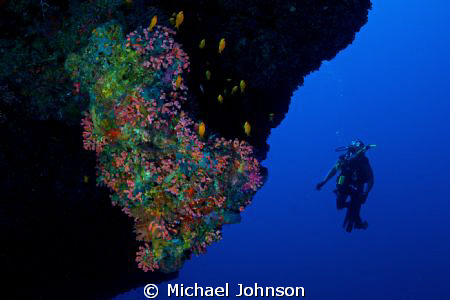 Diver off a wall in the Maldives by Michael Johnson 